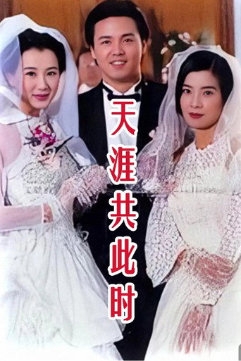 天涯共此时海报