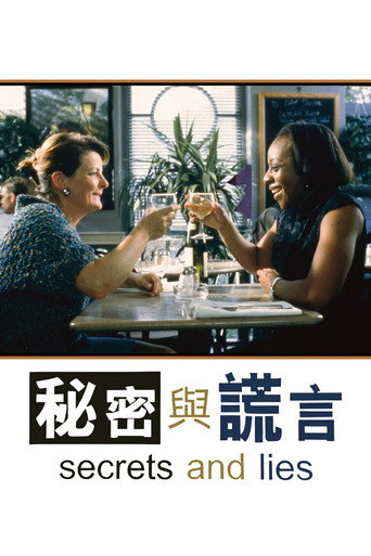 秘密与谎言海报
