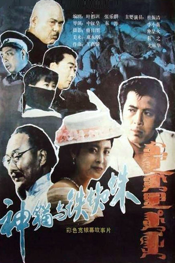 神猫与铁蜘蛛海报