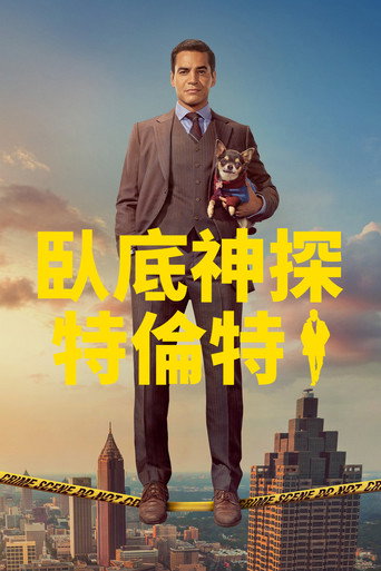 神探特伦特 第 3 季海报