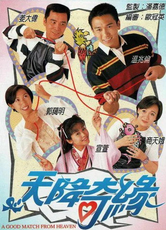 天降奇缘海报