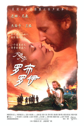 赤胆豪情海报
