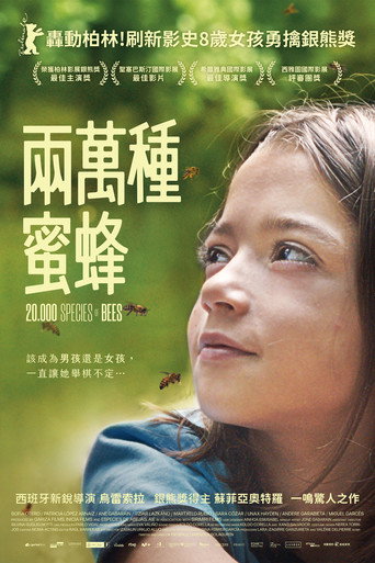 两万种蜜蜂海报