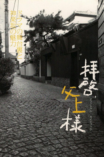 敬启，父亲大人海报