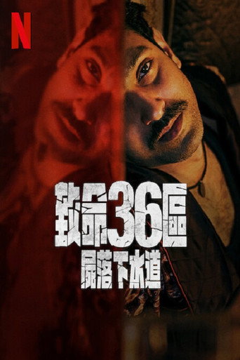 致命36区海报