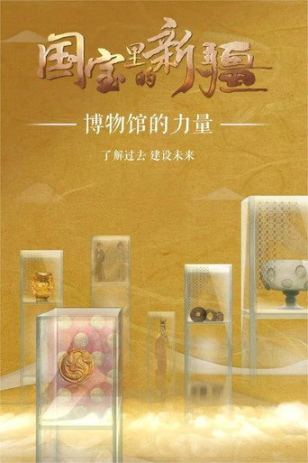 国宝里的新疆 第 1 季海报