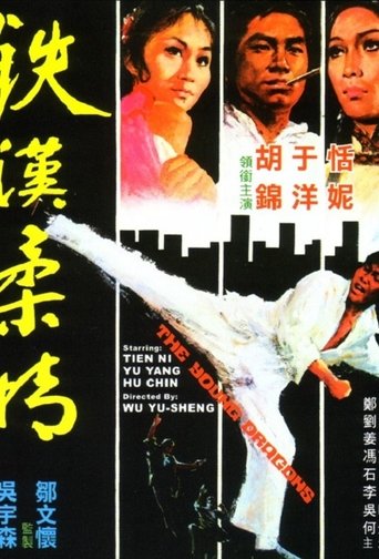 铁汉柔情海报