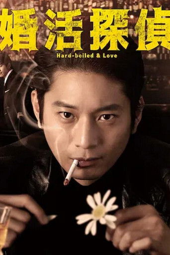 相亲侦探海报