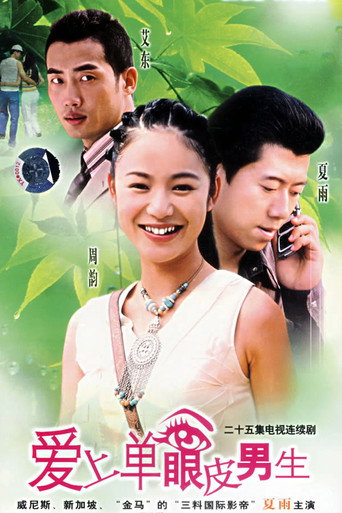 爱上单眼皮男生海报