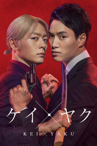 契×约—危险的搭档—海报