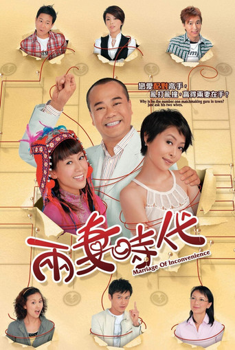 两妻时代海报