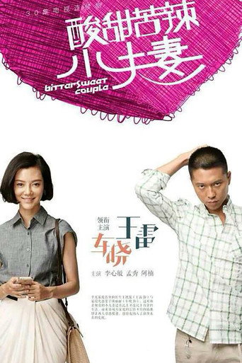酸甜苦辣小夫妻海报
