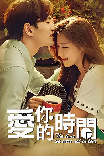 爱你的时间海报