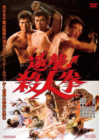 逆袭！杀人拳海报