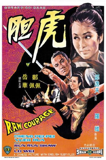 虎胆海报