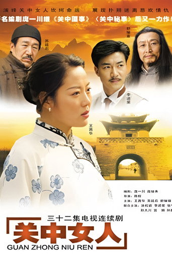 关中女人海报