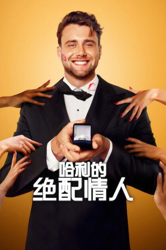 哈利的绝配情人海报