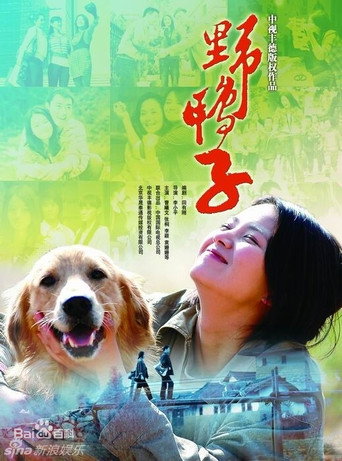 野鸭子 第 1 季海报
