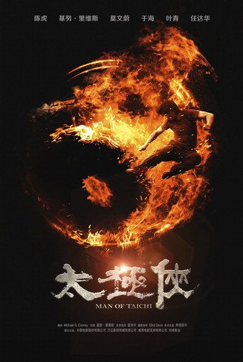 太极侠海报