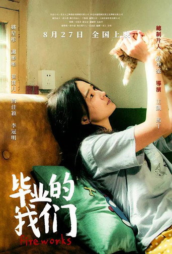 毕业的我们海报