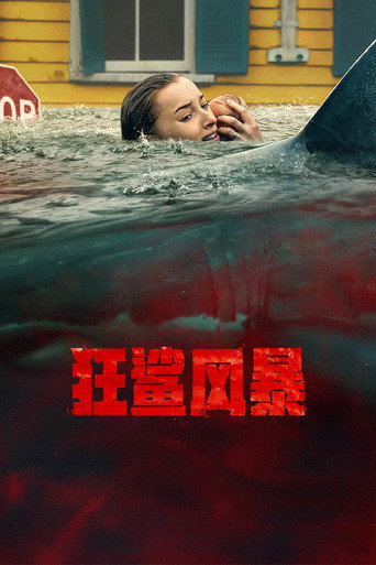 狂鲨风暴海报