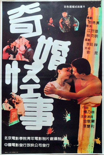 奇婚怪事海报