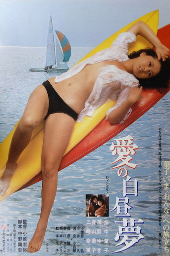 爱的白日梦海报