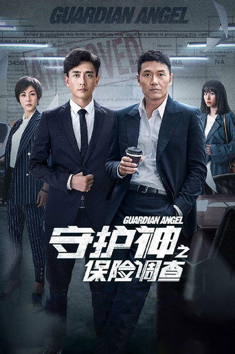 守护神之保险调查海报
