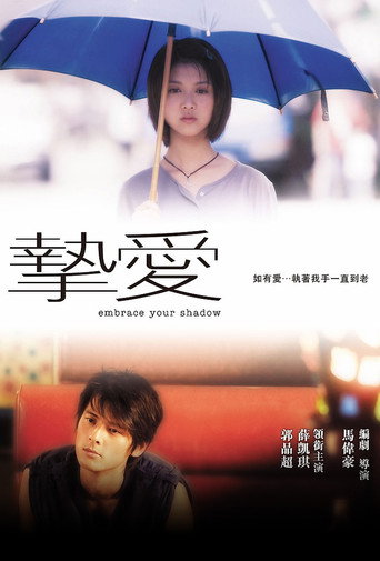 挚爱海报