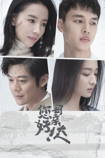 您好！母亲大人海报