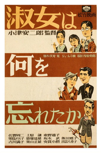 淑女忘记了什么海报