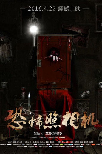 恐怖照相机海报
