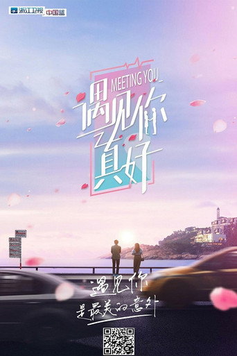 遇见你真好海报