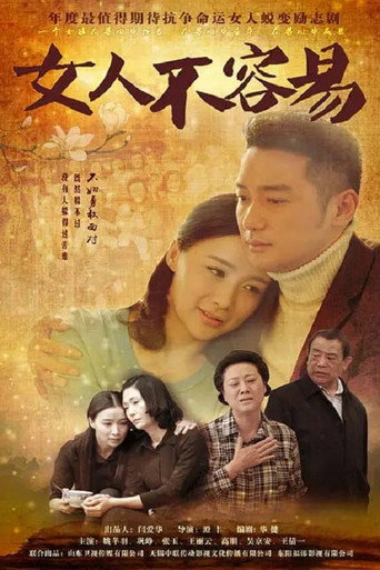 女人不容易海报