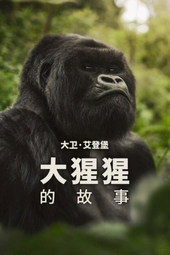 大卫·艾登堡：大猩猩的故事海报