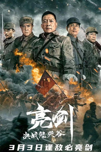 亮剑：决战鬼哭谷海报