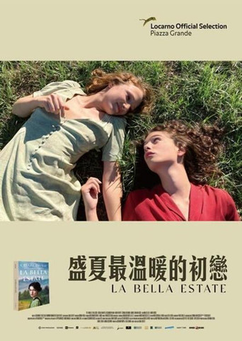 美丽的夏天海报