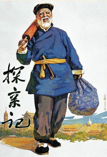 探亲记海报