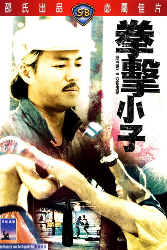拳击小子海报