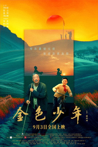 金色少年海报