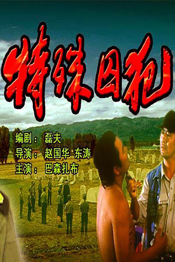 特殊囚犯海报