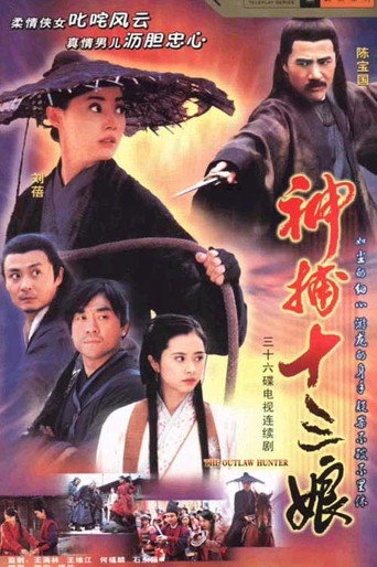 神捕十三娘海报