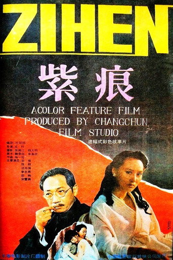 紫痕海报