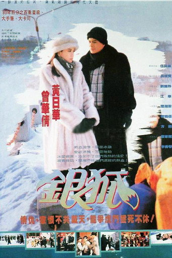 银狐海报
