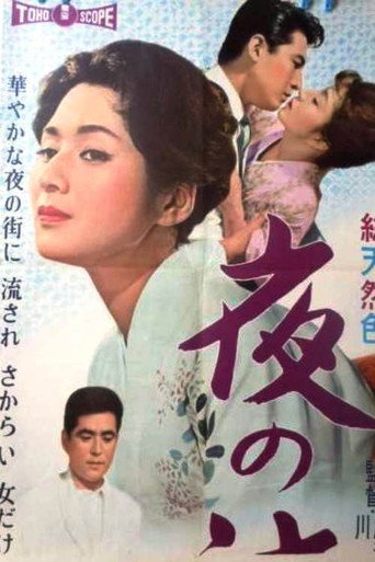 漂流的夜海报