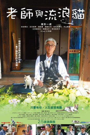 老师与流浪猫海报