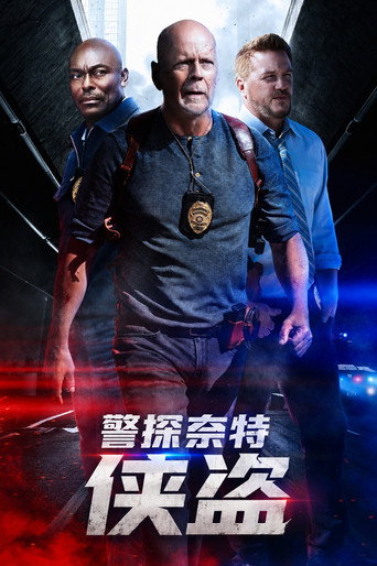 警探奈特：侠盗海报
