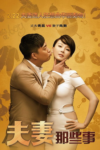 夫妻那些事海报