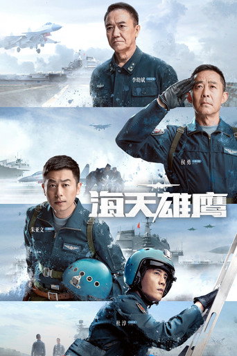海天雄鹰海报