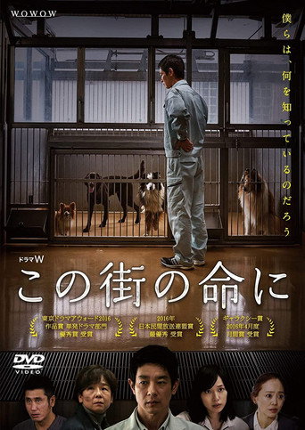 为了这条街的生命海报